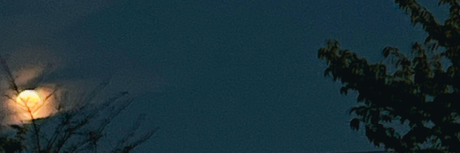 mughetto39's profile banner image