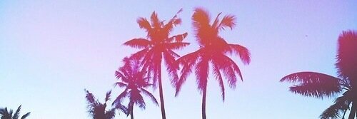 Corinelatempete's profile banner image