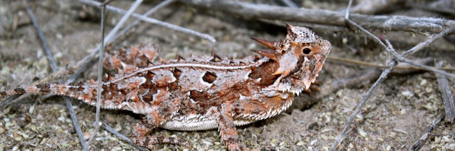 Bill Dean ✭ banner