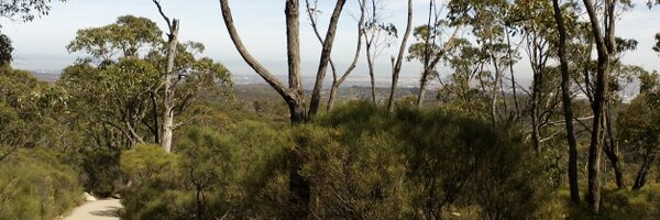 KoreanStephen Profile Banner