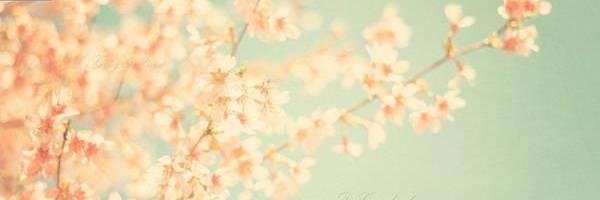YouLhan's profile banner image