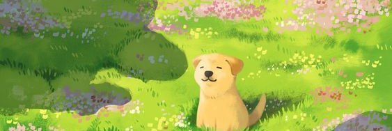 weitapod's profile banner image