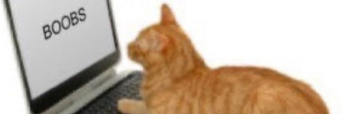 Lullust4r's profile banner image