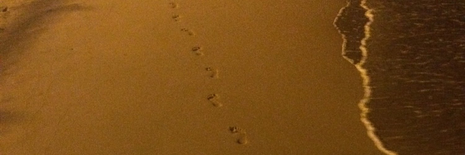 María Andrés banner