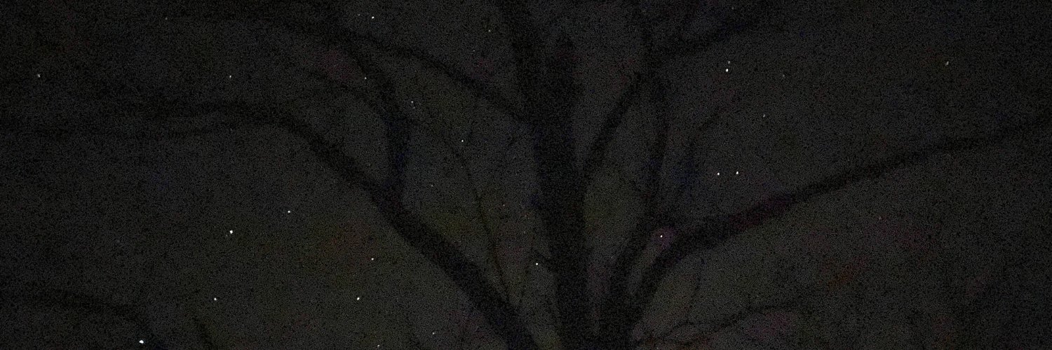 INGSOCAndy's profile banner image