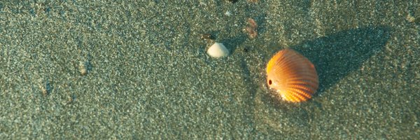 PJB956 Profile Banner