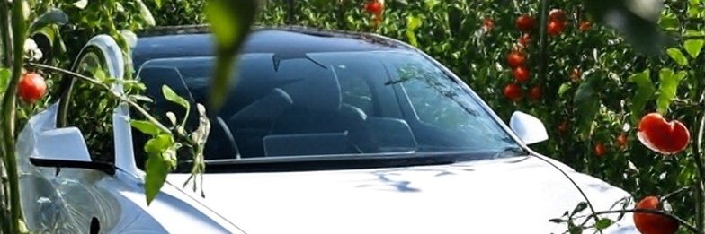 CharlieGari1's profile banner image