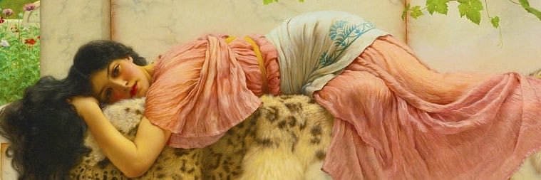 NooneNooneftno's profile banner image