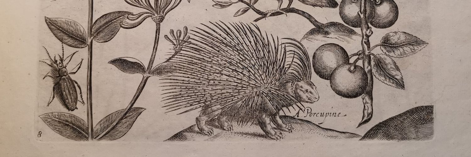 Jordan Mitchell-King banner