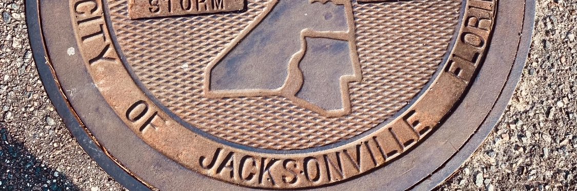 licecomb's profile banner image