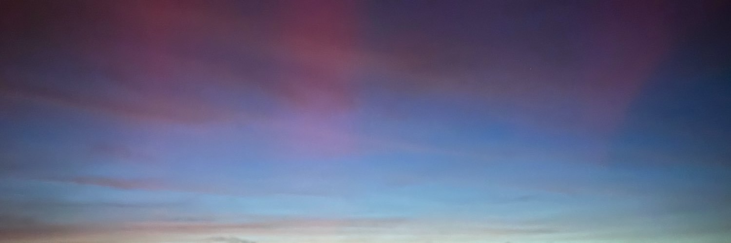 WhimsyWorms's profile banner image