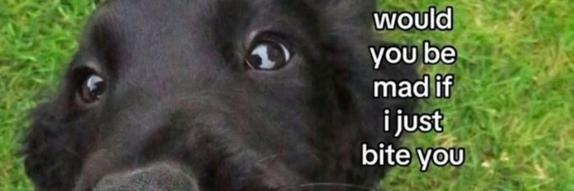 inddyd_dih's profile banner image