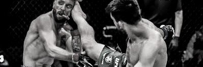 SteveErcegFan's profile banner image