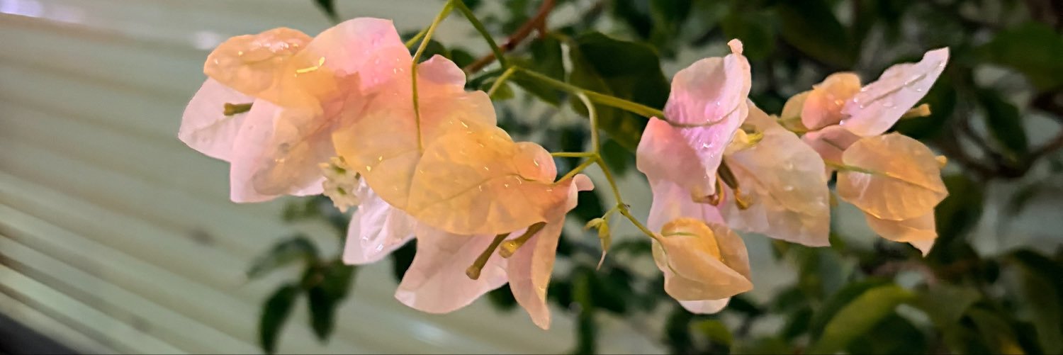 fluff_flavored's profile banner image