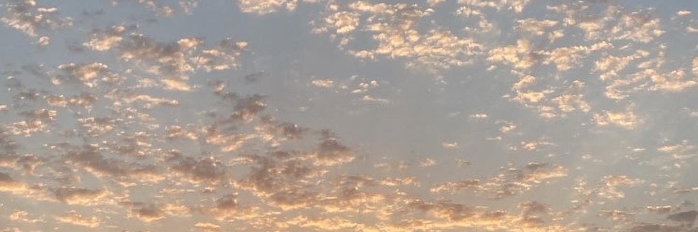 shivvv's profile banner image