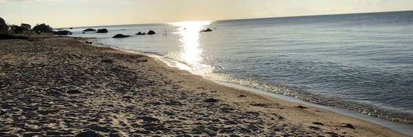 david_elliott88 Profile Banner