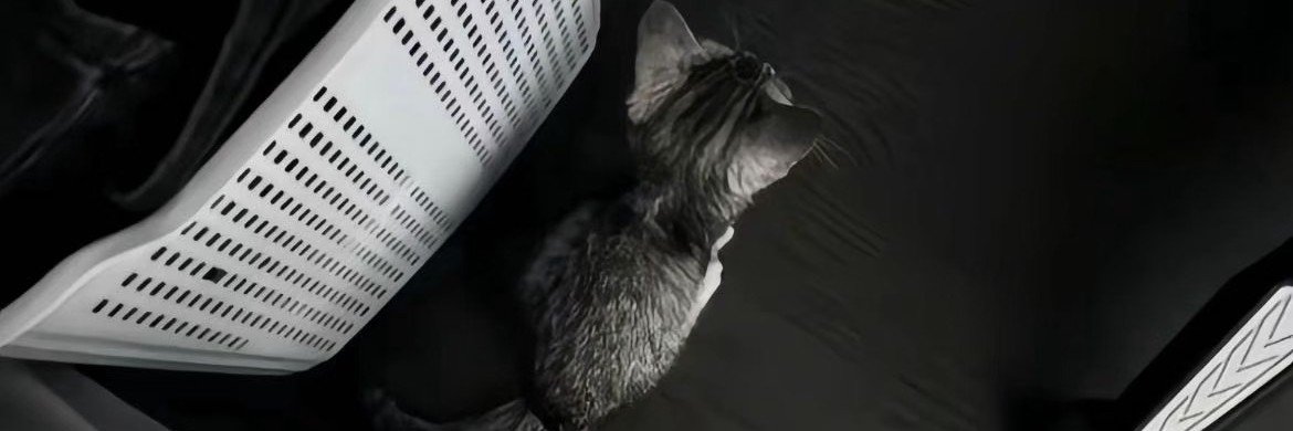 wrsaed's profile banner image