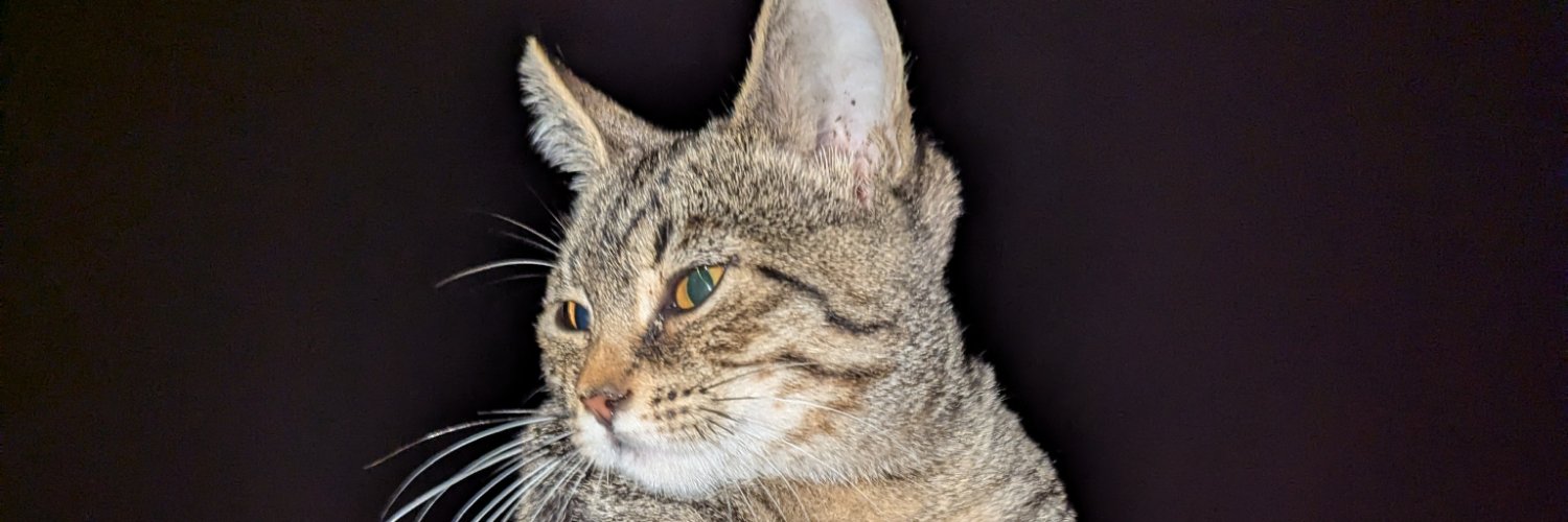 JennaCondoltun's profile banner image