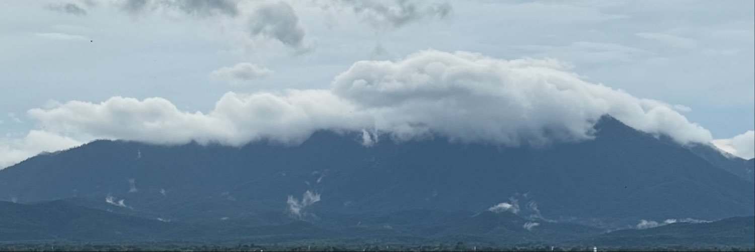 leephu05's profile banner image