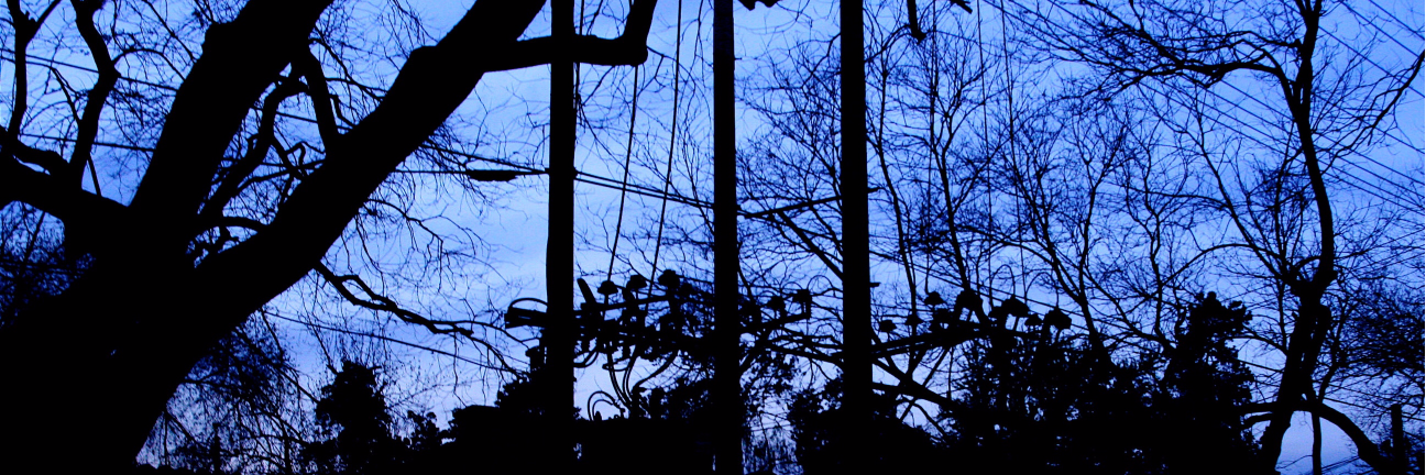 Stephen Warne banner