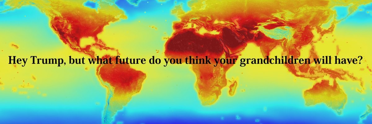 SavingLTLTrumps's profile banner image