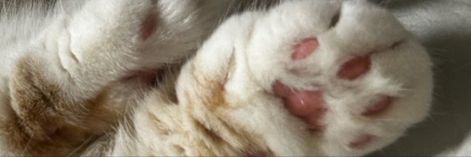 putiputi4567's profile banner image