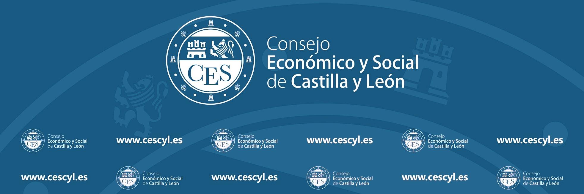 CES Castilla y León's banner