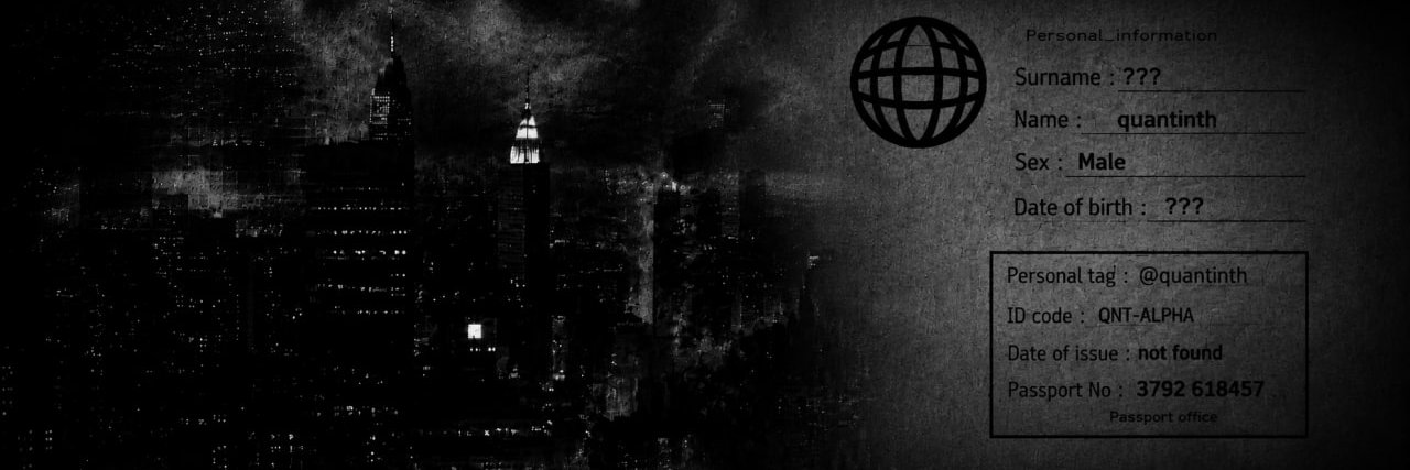 quantinth's profile banner image