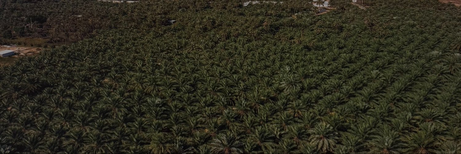 version0369's profile banner image