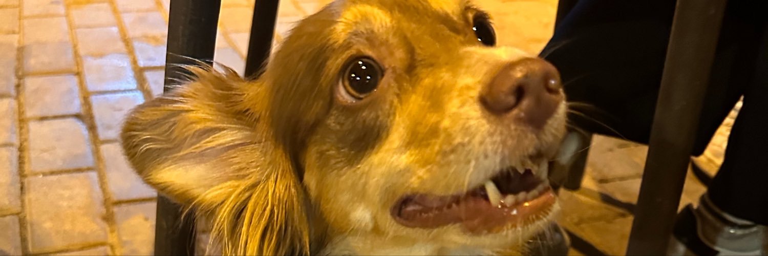 JJRey68's profile banner image