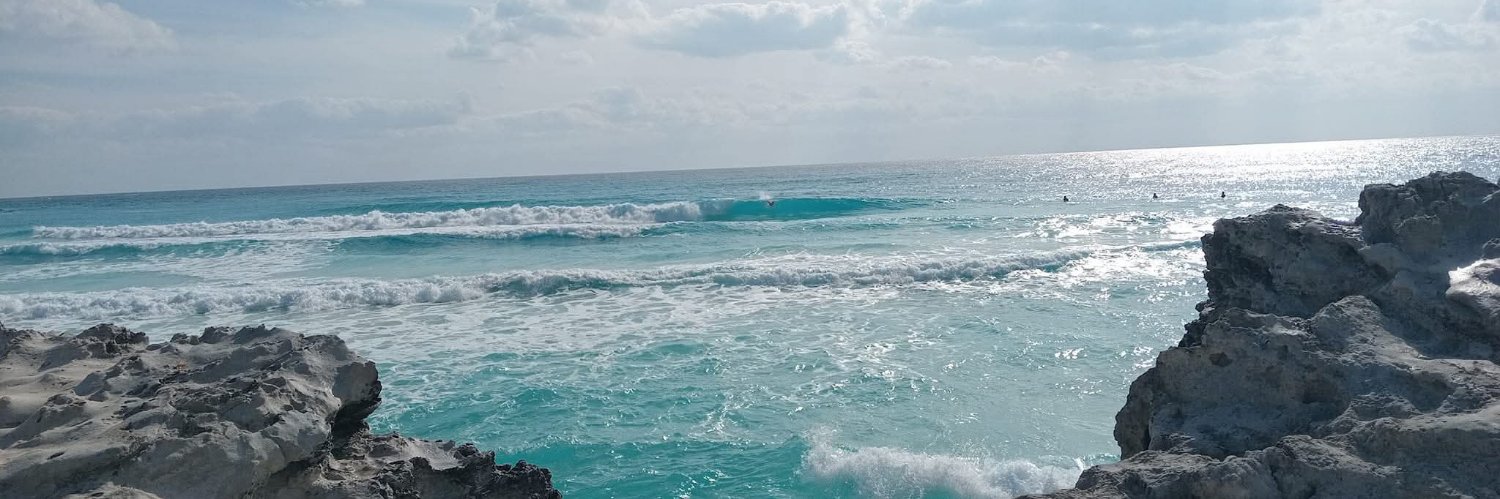 DASHirapuato's profile banner image