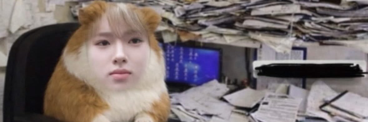 cherrykuuu's profile banner image