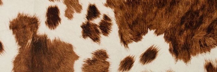 devotiques's profile banner image