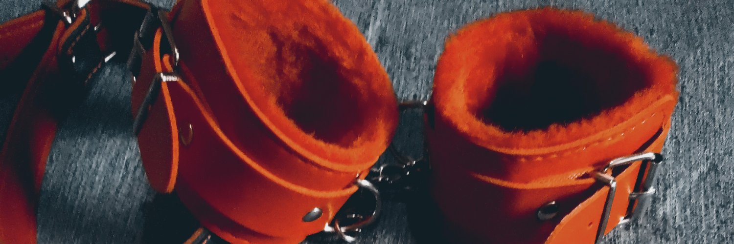 FenixGoddess69's profile banner image