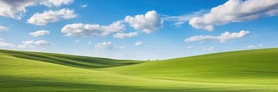 Swoxyfdq's profile banner image