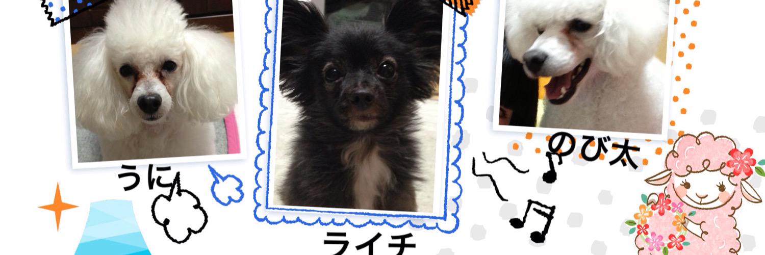 Manamiv's profile banner image