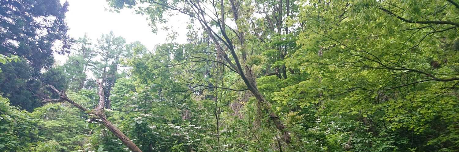 リーブはBARにいたい banner