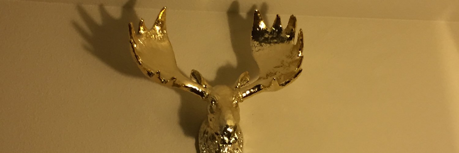 LauraBeeGee's profile banner image
