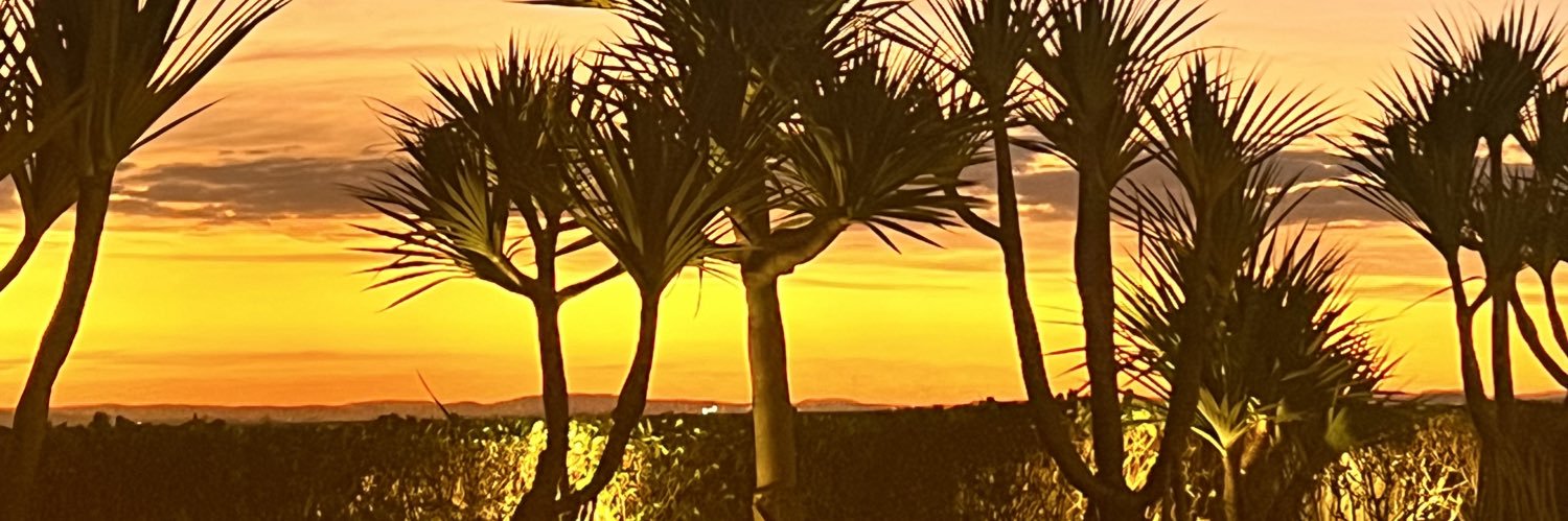 enisoares's profile banner image