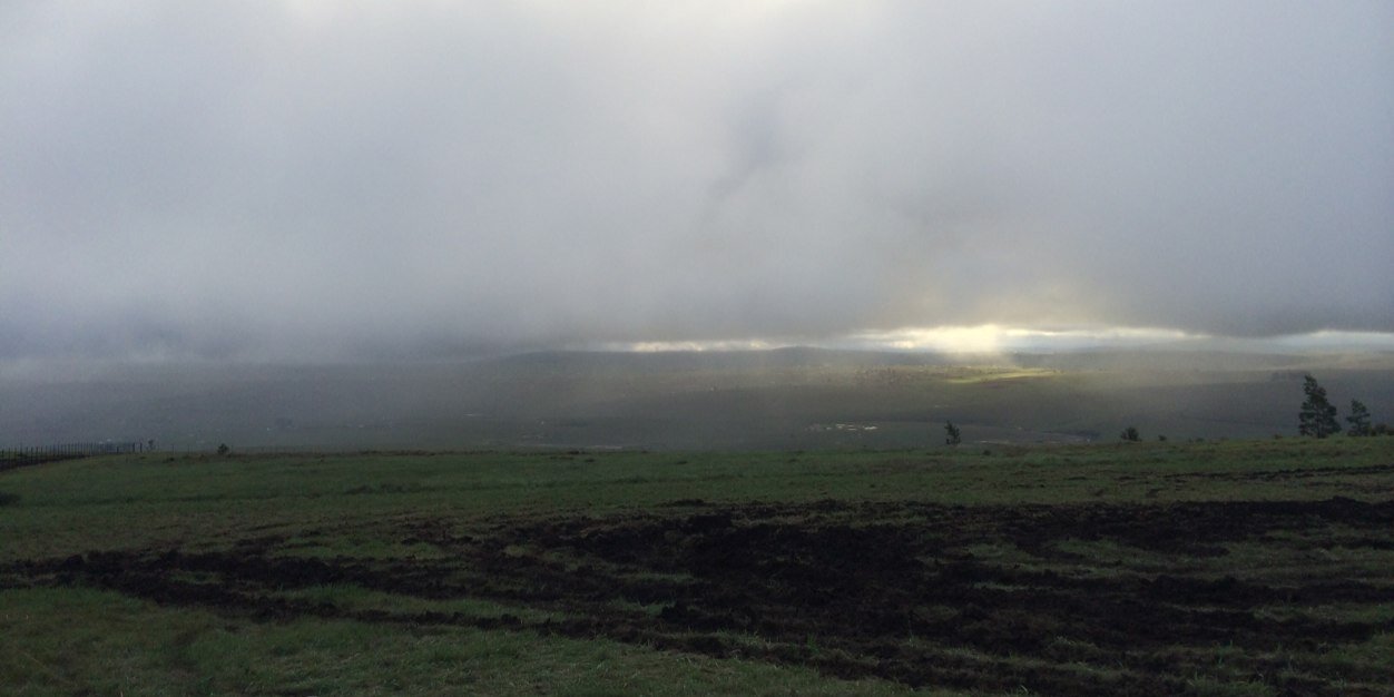 molloyultan's profile banner image