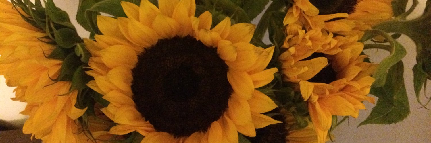 KEH001's profile banner image