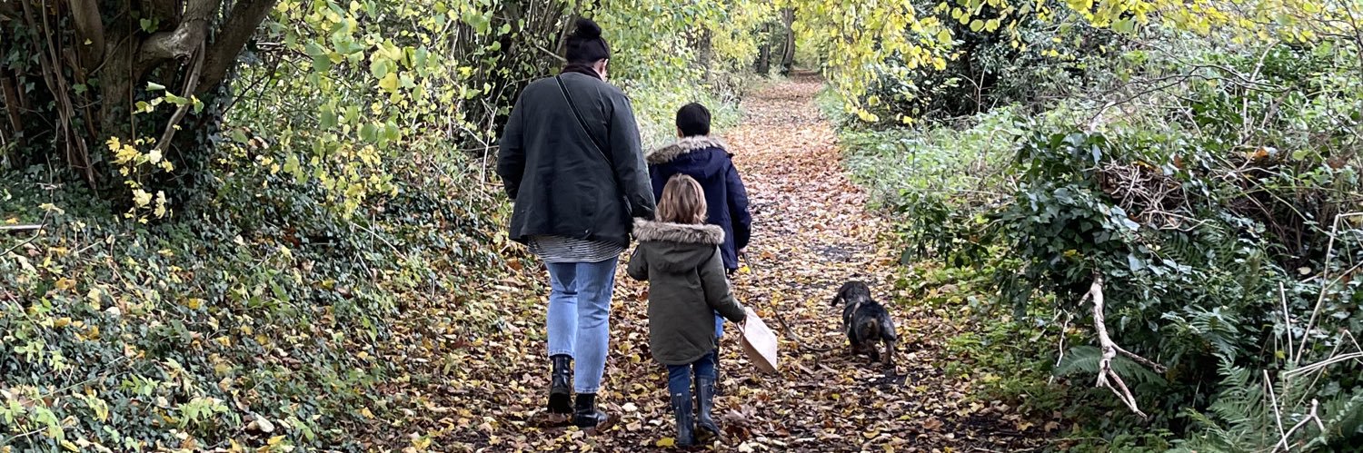 Jamie Stapleton banner