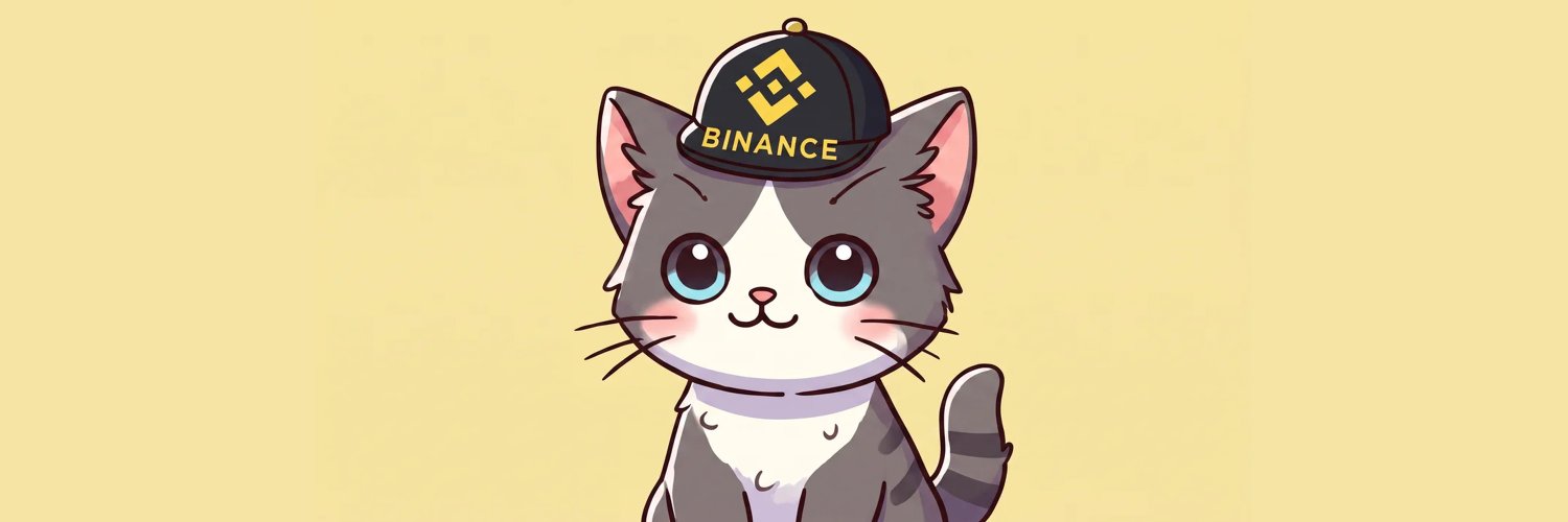 binacecatBSC_'s profile banner image