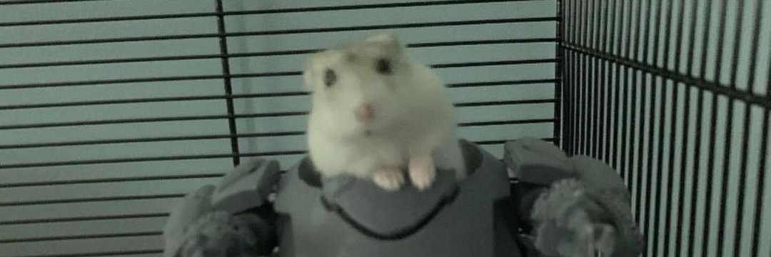 peooxx's profile banner image