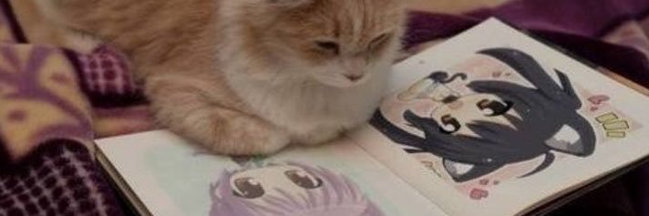 nanbreadxleb's profile banner image