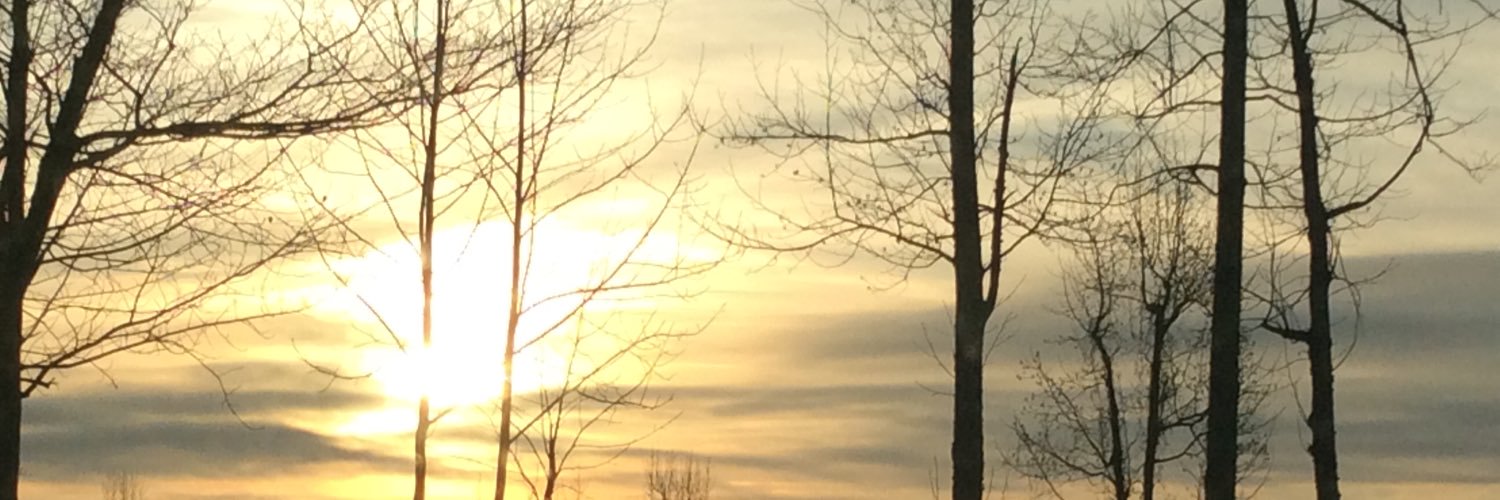 VinesLi's profile banner image