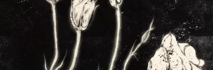 Mercyhwln's profile banner image