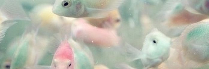aintnowaves's profile banner image
