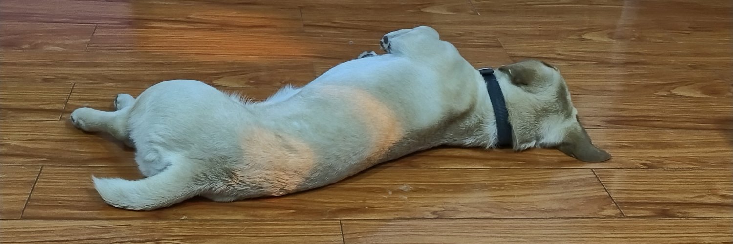 TemmieHol's profile banner image