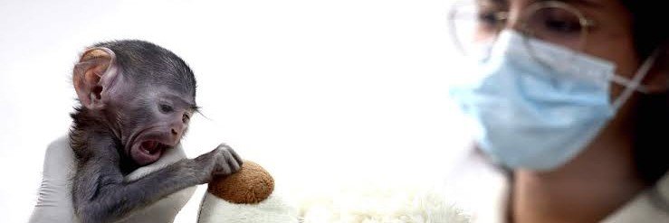 Yujisolana's profile banner image